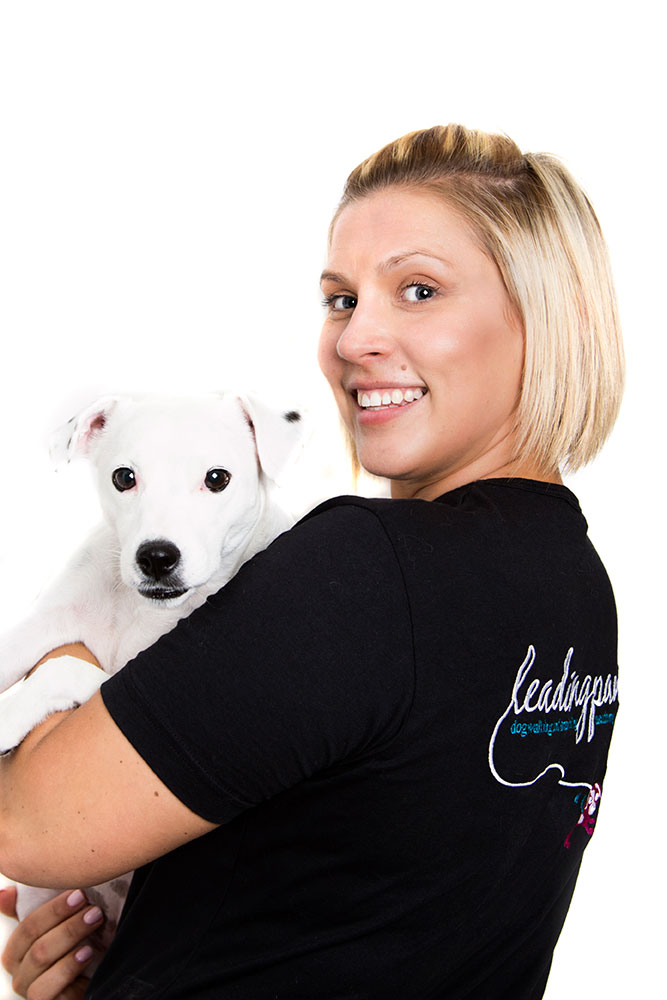 Puppy class at West Malling